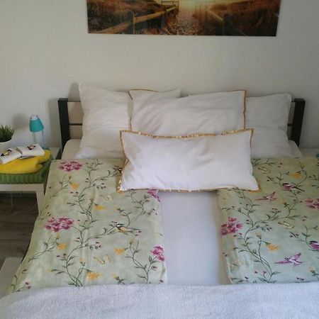 Appartement Zacisze Starowki à Stary Toruń Extérieur photo