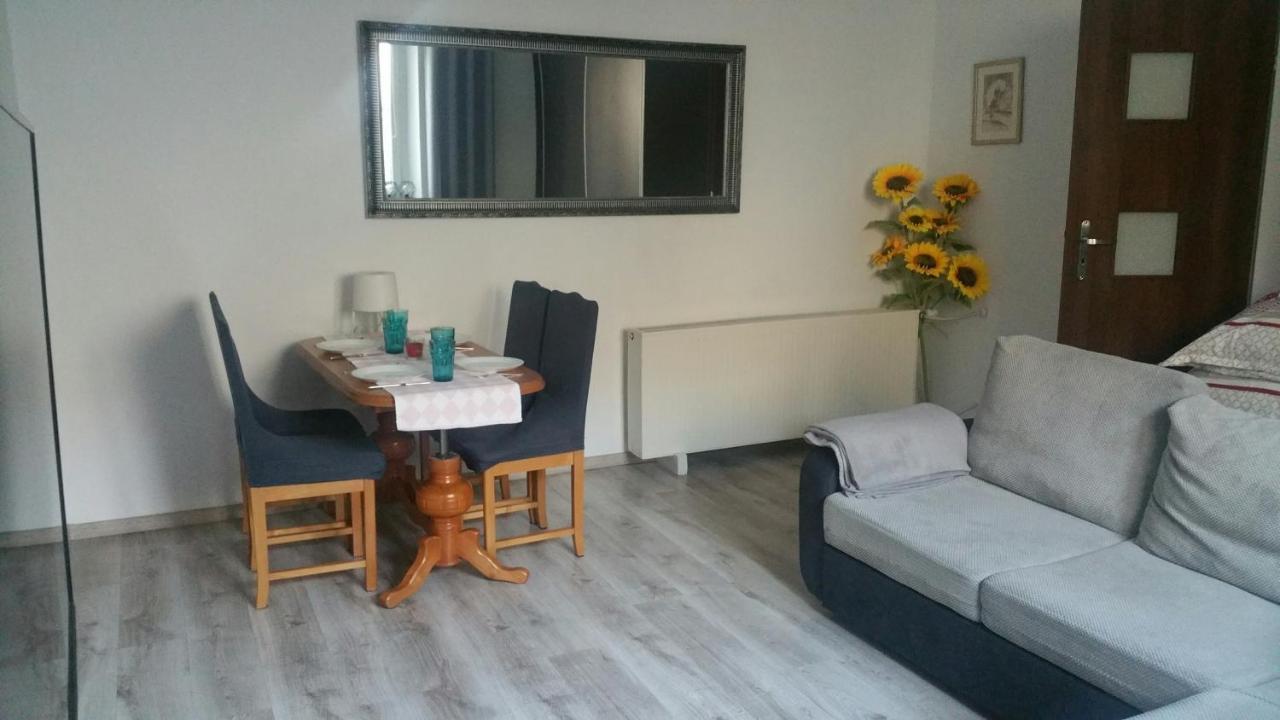 Appartement Zacisze Starowki à Stary Toruń Extérieur photo