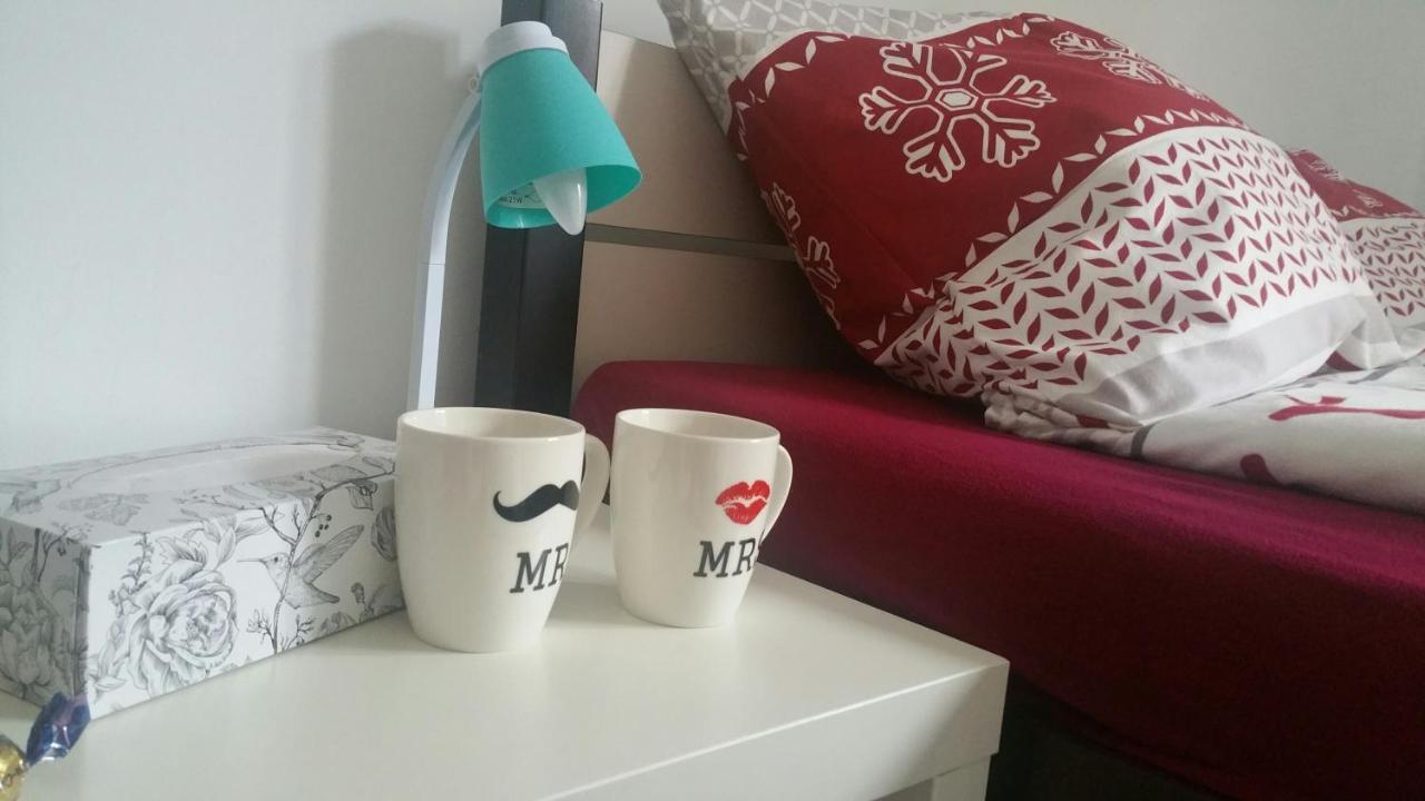 Appartement Zacisze Starowki à Stary Toruń Extérieur photo