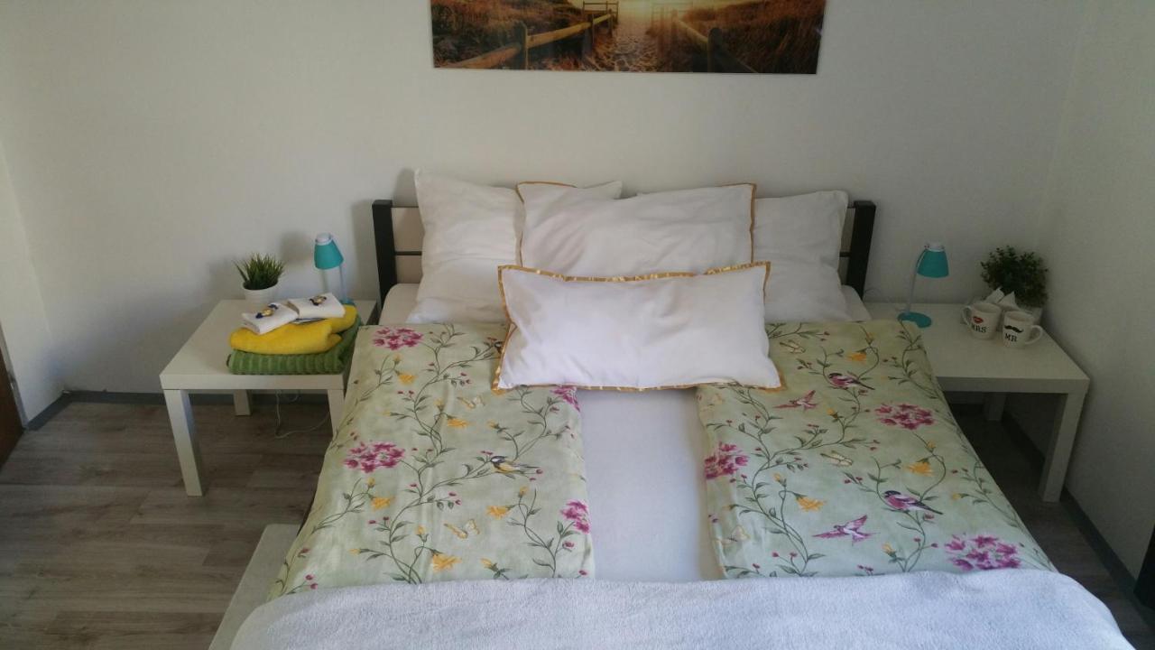 Appartement Zacisze Starowki à Stary Toruń Extérieur photo